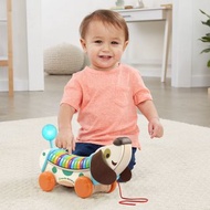 快速到貨-僅限寄送台灣【LeapFrog】木質字母小狗