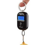 Mini Portable Scale 25kg Weighing Luggage Scale Keychain