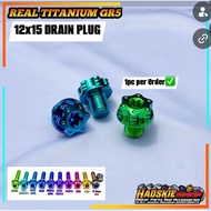 REAL TITANIUM GR5 12x15 DRAIN PLUG BOLT GR5 SCREW