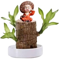 Brazilian Wood Plant Set, Brazilian Lucky Wood Plant with Panda Statue, Brazilian Wood Hydroponic Pl