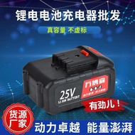 25v Wanbosen Electric Battery Charger Multi-Cell Battery Charger Manufacturer Supp