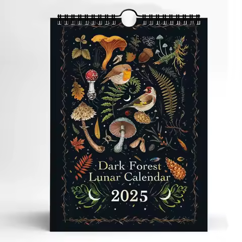 Dark Forest Lunar Calendar 2025 Contains 12 Original Illustrations Drawn Throughout The Year 12 Mont