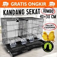 Cage Cage Umbaran Bulkhead Size 61x29x39 Bird Cage Lovebird Sugar Glider Iguana Squirrel Reptile Iro