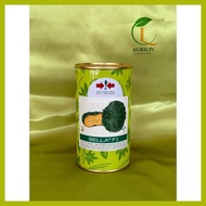 ➯ ∫ ▫ Bella F1 Hybrid Kalabasa Seeds 100grams (East-west Seed)
