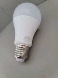LED Light Bulb 12V
(220-240 VAC)