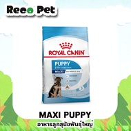 Royal canin Maxi puppy 10 Kg อาหารลูกสุนัขพันธู์ใหญ่ บำรุงข้อและกระดูก