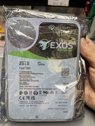 Seagate Exos X20  20T