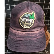 National Park Olympics Patch Hat - Color Texture - American Needle