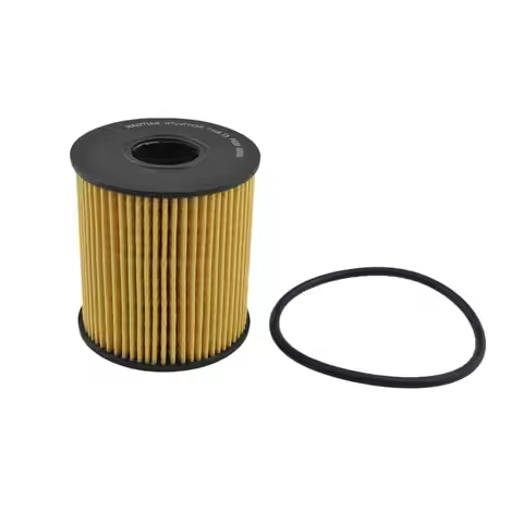 Oil Filter 1109X3 For Peugeot 207 1.6 2006-2013 206 3008 307 308 407 Citroen C4 2004-2011 C3 C5 DS3 