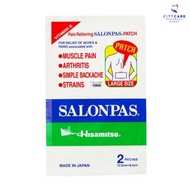 SALONPAS Hisamitsu Pain Relief Size L Vitamin E 2's
