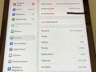 iPad Mini 6 wifi+cellular 512GB