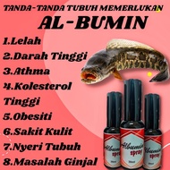 HPA Albumin Spray Terbaik