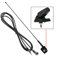 Spot Goods Car Auto Roof Radio Antenna FM/AM Signal Booster Amplifier For Peugeot 106 205 206 306 307 309 405 406 806 807