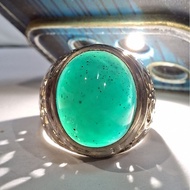 BACAN DOKO PALAMEA EST DIM 14x11.5x9 Ring 9