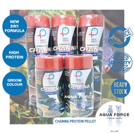 HIGH PROTEIN CHANNA PELLET GROOM COLOUR / MAKANAN CHANNA FOOD - aquarium - channa cobra AQUAFORCE