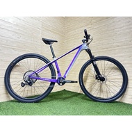 29” MTB Carbon 1x12 Raleigh Pro