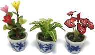 3pc Miniature Flower Clay Dollhouse Fairy Garden Mini Plant Trees Ceramic Orchid Paint Furniture #06