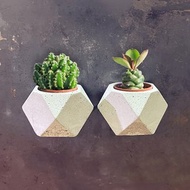 【野草不野】空浮石情人植栽 / 磁吸水泥盆栽