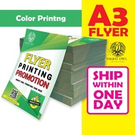 Flyer Printing A3 Printing 100pcs