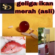 Geliga Ikan Merah (Asli)