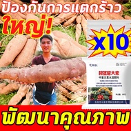 💥เติบโตอย่างดุเดือดใต้ดิน🍠 ปุ๋ยเร่งหัวมัน เหง้าใหญ่ขึ้น10เท่า ฮอร์โมนมันสำปะหลัง สามารถทำให้หัวมันสำปะหลังมีขนาดใหญ่ขึ้น ปุ๋ยมันสำปะลัง สามารถพ่นพื้นที่ได้ครั้งละห้าเอเคอร์ ปุ๋ยทางใบมันสำปะหลัง เหมาะสำหรับพืชใต้ดินหลายชนิด ปุ๋ยระเบิดหัว ฮอร์โมนระเบิดหัว