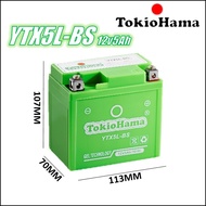 V100 / V150 / VS125 / VARIO125 / CBR150 / CRF / YTX5 / YTX5L / YTX5L-BS GEL MOTORCYCLE BATTERY