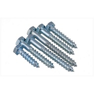 [JLY] Galvanized External Hexagon Self-Tapping (DIN571) Galvanized Wood Screw Self-Tapping Screw Ext