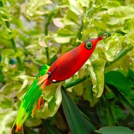 SOFT FROG SKIRT BERDIRI LJ LURE UKURAN 6CM. 8GRAM. UMPAN CASTING
