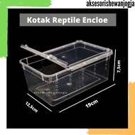 Kotak Reptil Enclo Reptile Tarantula Vivarium gecko Feeding Box Kandang Reptil Kura-Kura