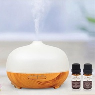 Flaming Queen Ultrasonic Glass Cool Mist Humidifier (300ml) + Free 2 x 10ml Lemongrass / Eucalyptus 