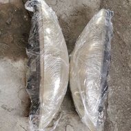 Peugeot 308 headlamp