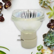 Gælder for UHP190/160W 1025290 5J. J9R05. 001 MW519 BL- FU195C 5J. J9V05.001 5J. J6L05.001 BL-FU190D