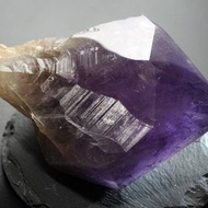 剛果紫骨幹 靈修 招財 破煞 防小人