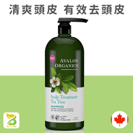 AVALON ORGANICS - 有機茶樹頭皮護理洗髮液 946ml (平行進口)