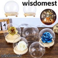 WISDOMEST Glass cloche Plants Fairy Lights Spherical Terrarium Glass Vase Jar Flower Storage box