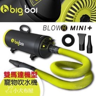 Bigboi MINI PLUS (MINI+)雙馬達乾燥吹水機