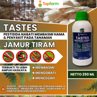 Obat Ulat Jamur Tiram / Obat Jamur Tiram Spj / Obat Jamur Tiram / Obat Hama Jamur Tiram / Obat Hama 