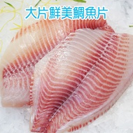 【賣魚的家】大片鮮美鯛魚片 (200-250g/片)-共10片組 