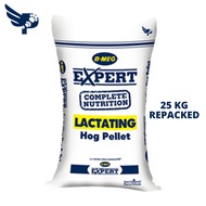 B-MEG Expert Complete Nutrition Lactating Hog Pellet 25KG - Pig - BMEG Feeds - petpoultryph