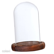 Wooden Base Glass Cloche Dome Cover Display Centerpiece Tabletop Decoration