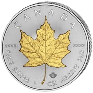 MAPLE LEAF 1 OZ SILVER GILDED COIN CANADA