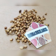 Coriander Seeds / Cilantro 250 grams