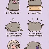【胖吉貓】可愛的胖吉貓海報(你該當貓的6個原因) / Pusheen