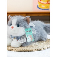 Simulation Cat, Plush Doll, Cat Doll, Muppet Cat Doll, English Short Cat Decoration