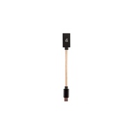 iFi Audio オーディオファイル OTGケーブル OTG-TYPE-C タイプC ネコポスにて発送いたします。