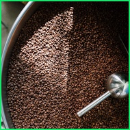 ◺ ◨ Robusta Coffee Beans (Dark Medium Roast) Cordillera Benguet Coffee