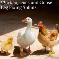 WONDER 4pcs Chicken Leg Splint, Adjustable Reusable Duck Leg Splint, Professional Ightweight Durable