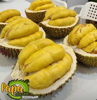 Durian Fresh Musang King - Utuh Bulat Ukuran 1.5 - 2.5 Kiloan ••