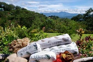 BAGUIO COUNTRY CLUB SOVITAL BREAD (VACUUM PACKED)