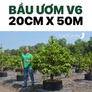 Bầu Ươm V6 VietGrow Đa Dạng Nhiều Kích Thước Và Các Loại Hàng Khác Nhau